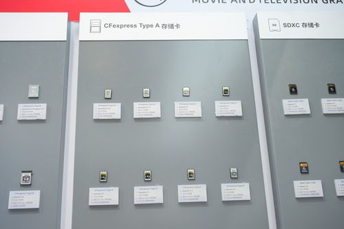 至譽科技2024 引領高速存儲新紀元，重塑數碼存儲卡未來